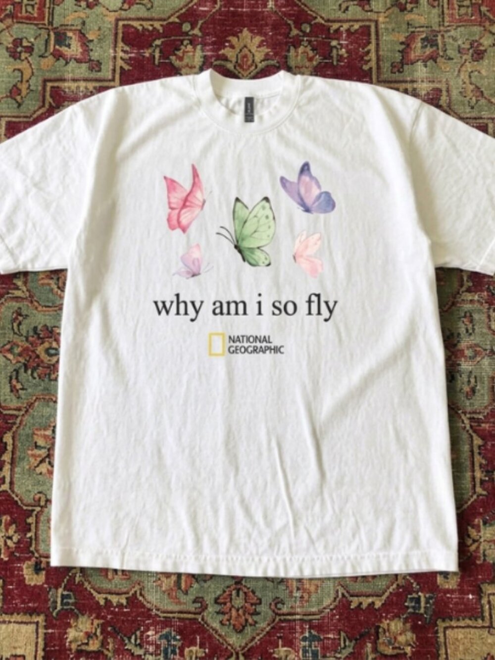 National Geographic Why Am I So Fly butterflies white tee